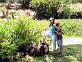 28 - Jardin des eaux 030